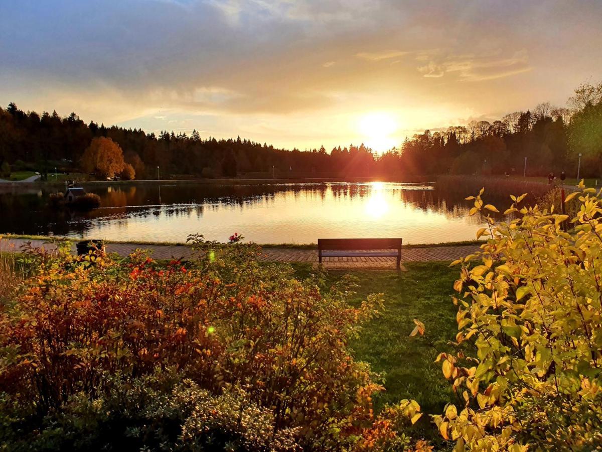 Harz Dream - Vier Jahreszeiten กอสลาร์ ภายนอก รูปภาพ